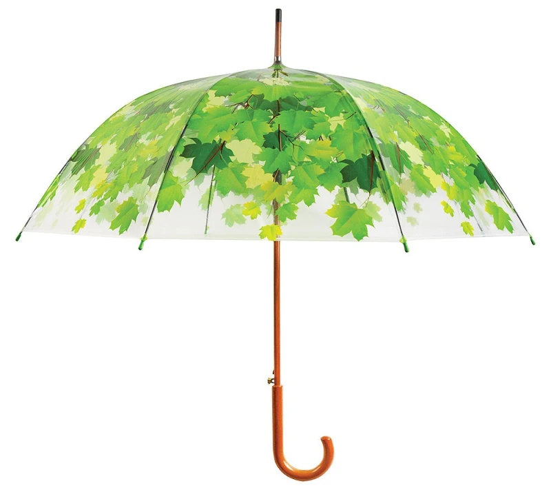 Regenschirm Blätter Baumkrone Transparent Stockschirm Durchsichtig