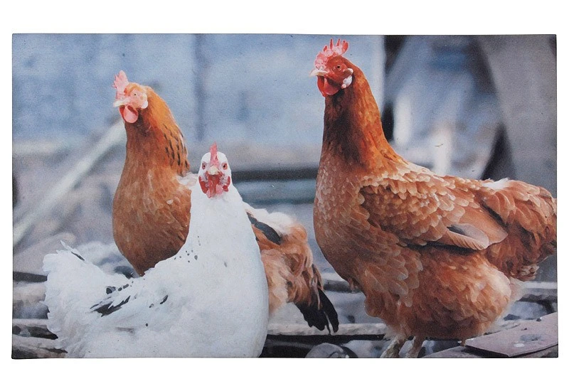 Gummi- Fussmatte Fussabtreter Hühner -Motiv 75x45cm