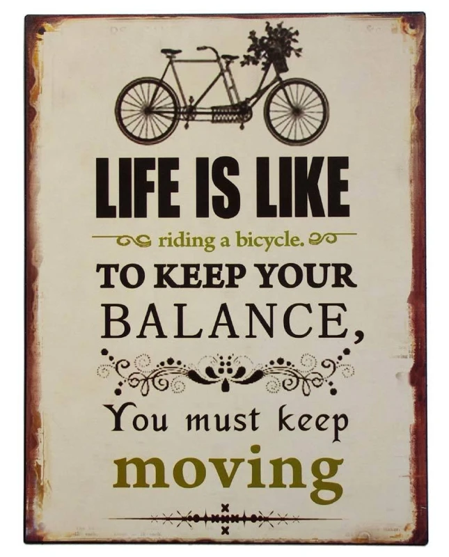 Blechschild Albert Einstein "Life is like a bicycle..." Nostalgie 33x25cm