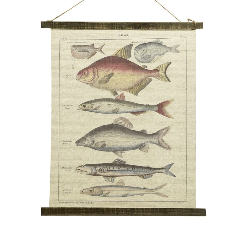 Schulwandkarte Wandbild Fische Lachse Biologie Nostalgie Leinwand 72x60cm