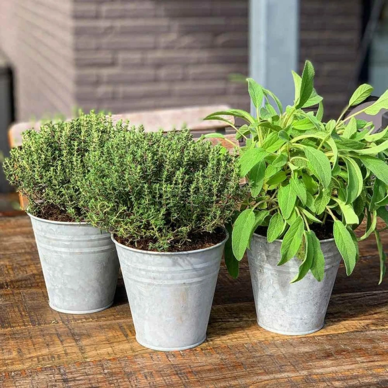 Blumentopf Set Zink 3 Stück Pflanztopf Zinktopf Vintage Ø 12,5 cm