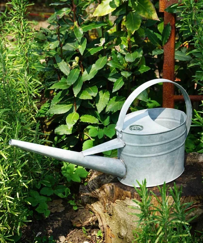 Gießkanne aus Zink Giesskanne Vintage Landhaus-Stil 1,6l