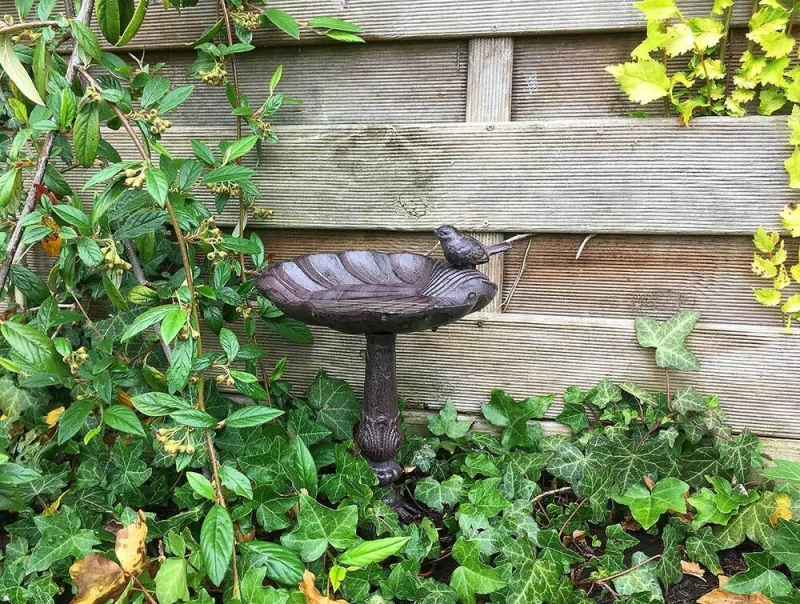 Vogeltränke auf Fuß Vogelbad Seerosenblatt Futterschale Gusseisen Antik-Stil Braun