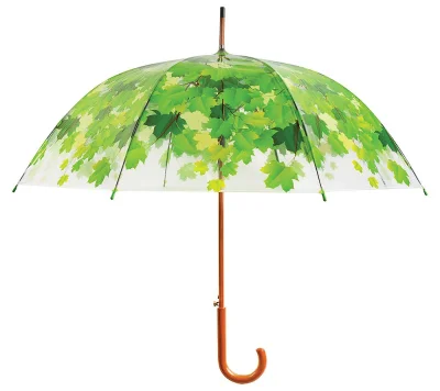 Regenschirm Blätter Baumkrone Transparent Stockschirm Durchsichtig