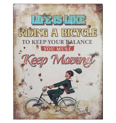 Blechschild Albert Einstein "LIFE IS LIKE RIDING A BICYCLE..." Nostalgie