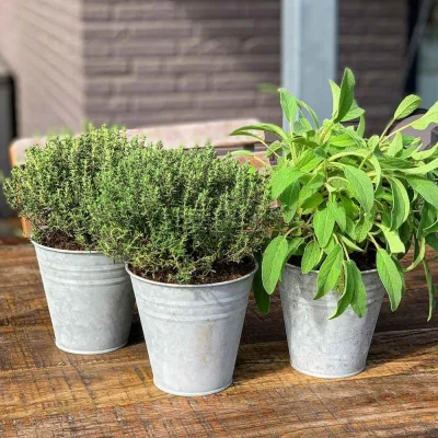 Blumentopf Set Zink 3 Stück Pflanztopf Zinktopf Vintage Ø 12,5 cm