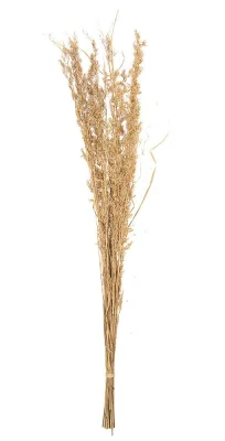 Alfonso Gras Ziergras Getrocknet Braun Trockenblumen Deko Gras Natur 100cm