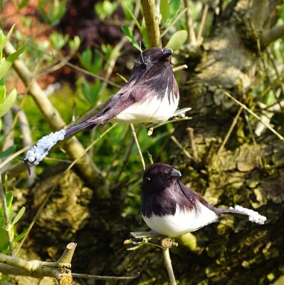 Deko Vögel mit Clip Künstlich Weiß/Schwarz Federschwanz 2 Stück