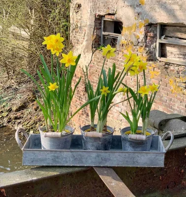 Tablett Zink Rechteckig mit Griffen Dekotablett Vintage-Stil Antik-Stil 41x13cm