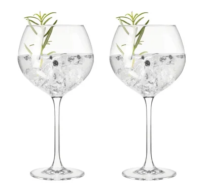 Leonardo Gingläser GIN-Serie 2er-Set gezogener Stiel 630ml